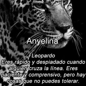 Meet your Posher, Anyelina